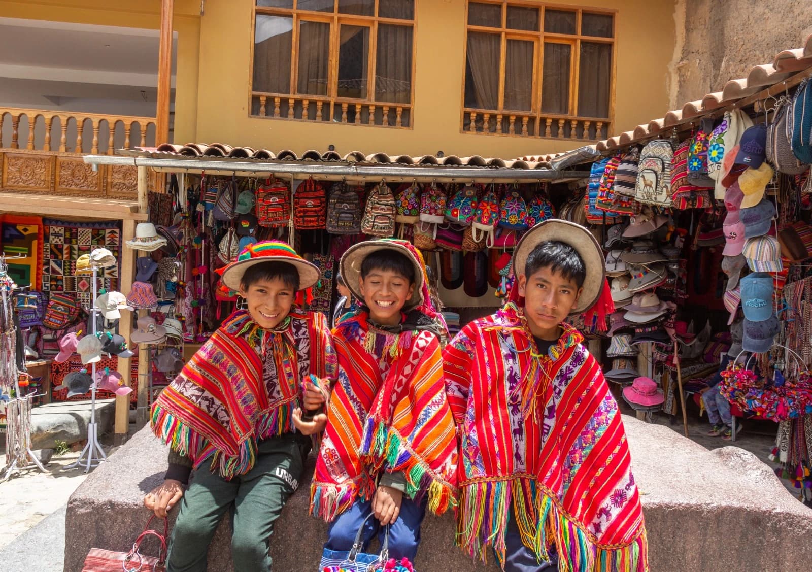 Children and Alpacas in Andean Field
