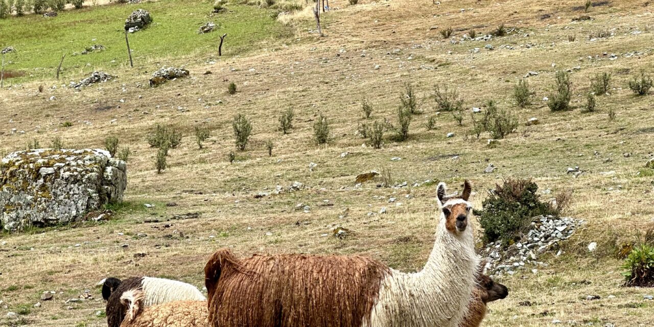 Sacred Valley Tour & 2 Day Inca Trail 3D/2N